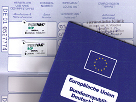 Impfunterlagen EU Impfpass